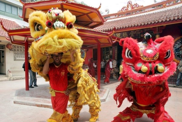 Barongsai Jadi Pertunjukan yang sangat Dinanti Saat Perayaan Imlek